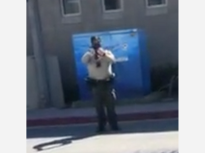 Are San Diego Sheriffs Servants of the People or a Gang of Untrained Thugs?